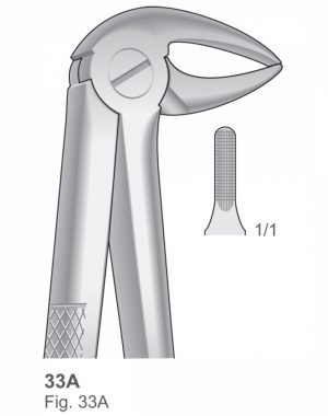Extracting Forceps English Pattern ART #MI- 1013