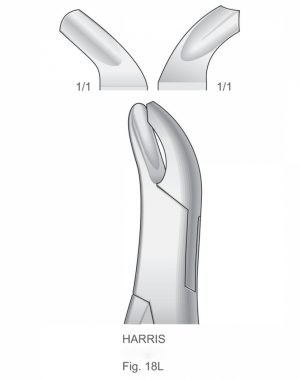 Extracting Forceps American Pattern ART # IS-1114