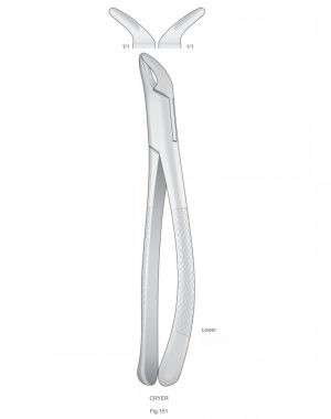 Extracting Forceps American Pattern ART # IS-1117