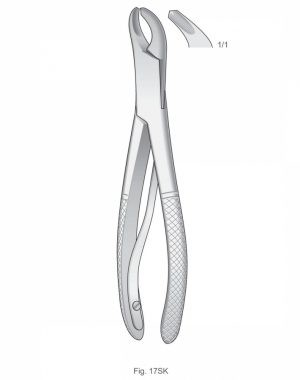 Extracting Forceps American Pattern ART# IS-1142