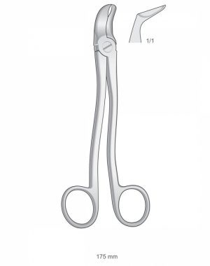 Extracting Forceps American Pattern ART# IS-1158